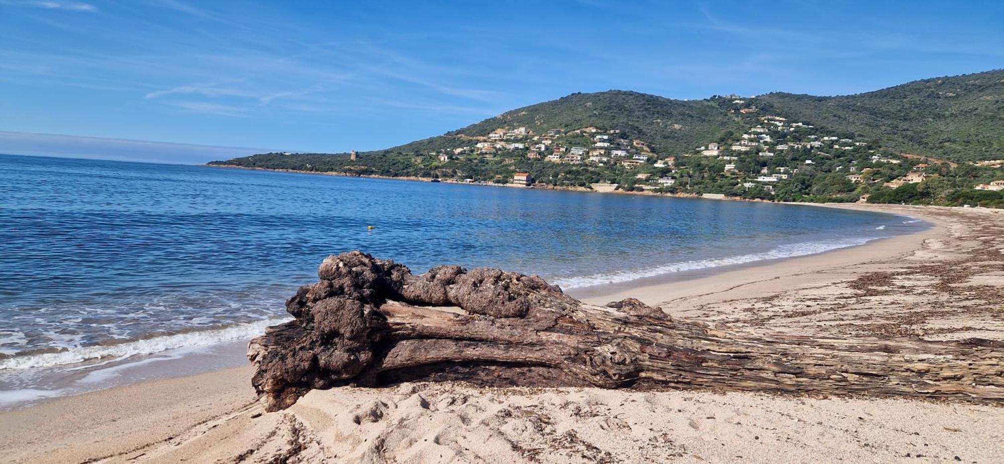 Mare E Monti Chez Thomas Et Magali Bed & Breakfast Vico Ngoại thất bức ảnh